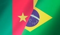 Camerun Brasile